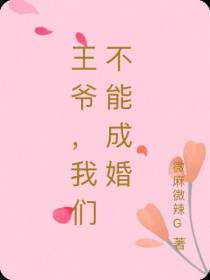 王爷,我们不能成婚
