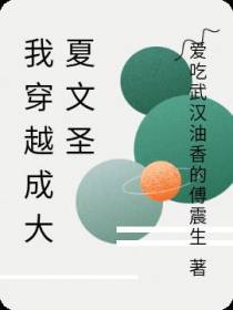 我穿越成大夏文圣