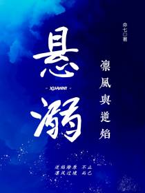 悬溺：凛风与逆焰