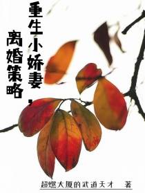 重生小娇妻离婚策略