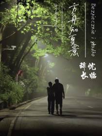 方舟知夏意