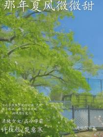 那年夏风微微甜