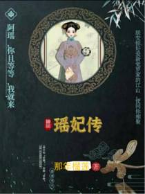 清穿之瑶妃传