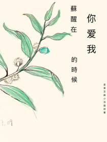 苏醒在你爱我的时候