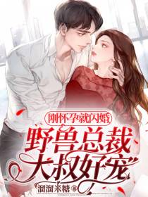 刚怀孕就闪婚,野兽总裁大叔好宠
