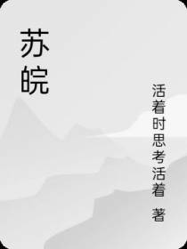 苏皖