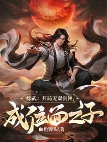 综武：开局无双剑匣,成位面之子