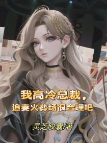 我高冷总裁,追妻火葬场很合理吧