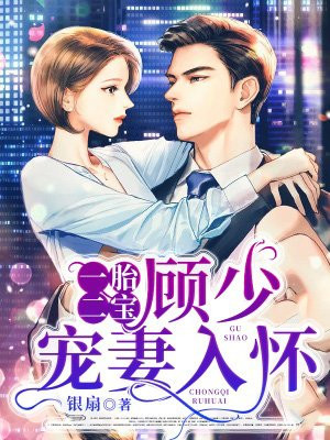 一胎二宝,顾少宠妻入怀
