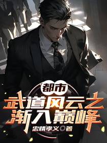 都市：武道风云之渐入巅峰