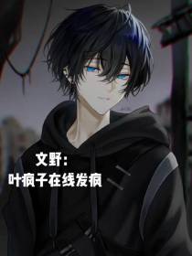 文野：叶疯子在线发疯