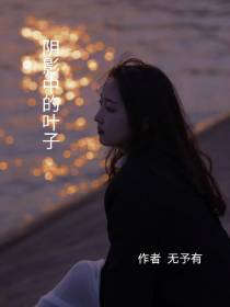 阴影中的叶子