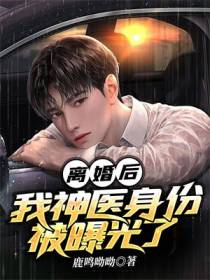 离婚后,我神医身份被曝光了