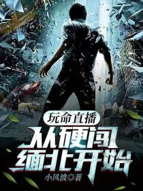 玩命直播,从硬闯缅北开始