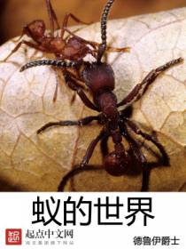 蚁的世界主角