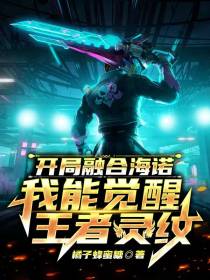 开局融合海诺,我能觉醒王者灵纹