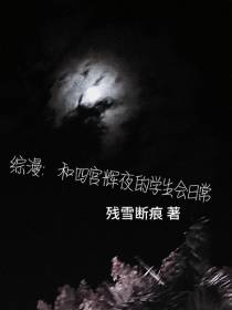 综漫：和四宫辉夜的学生会日常