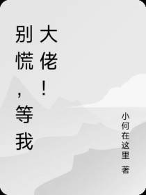 别慌,等我大佬！