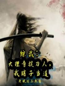 综武：大理寺捉刀人,我瞎子当道
