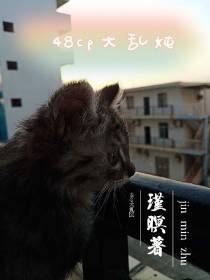 48cp大乱炖