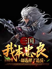 三国,我本忠良,却选择了造反