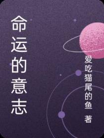 命运的意志