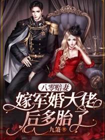 八零赔妻,嫁军婚大佬后多胎了