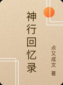 神行回忆录