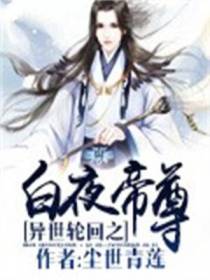 异世轮回之白夜帝尊