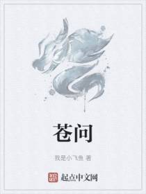 苍问