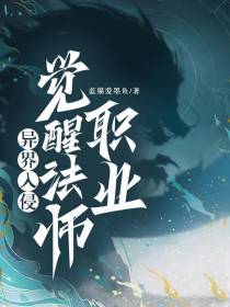 异界入侵,觉醒法师职业