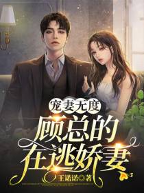 宠妻无度,顾总的在逃娇妻