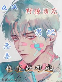 反派野撩诱宠,恶毒男配也在劫难