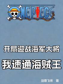 开局迎战海军大将,我速通海贼王