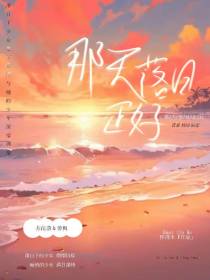 那天落日正好