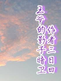 王爷的影子暗卫