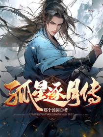 孤星逐月传