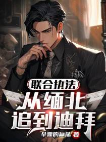 联合执法：从缅北追到迪拜