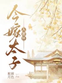 入君怀：今嫁太子