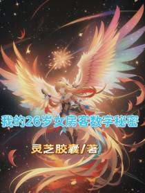 我的26岁女房客数字秘密