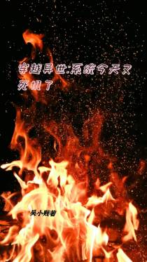穿越异世：系统今天又死机了