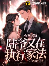 小妻太娇,陆爷又在执行家法