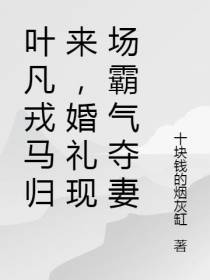 叶凡戎马归来,婚礼现场霸气夺妻