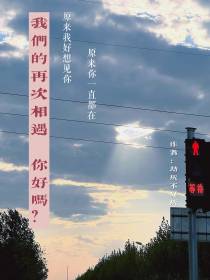 我们的再次相遇,你好吗？