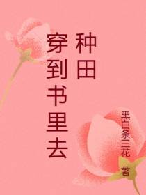 穿到书里去种田