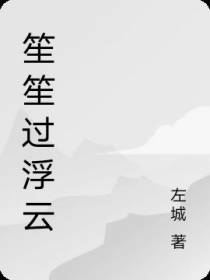 笙笙过浮云