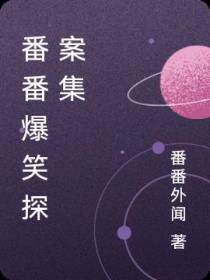 番番爆笑探案集