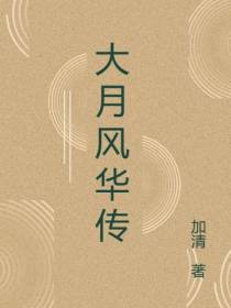 大月风华传