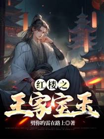 红楼之王家宝玉