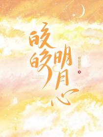皎皎明月心
